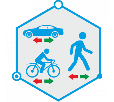 TRASSIR DIRECTION DETECTOR
