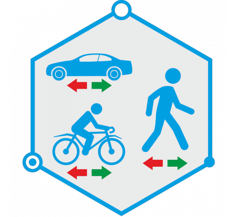 TRASSIR DIRECTION DETECTOR
